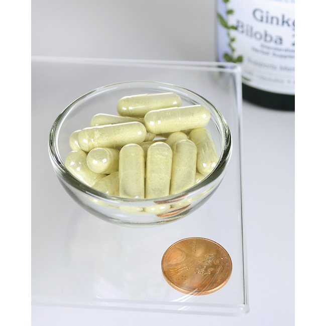 Swanson Premium Ginkgo Biloba Extract 24% - 60 mg / 240 Caps