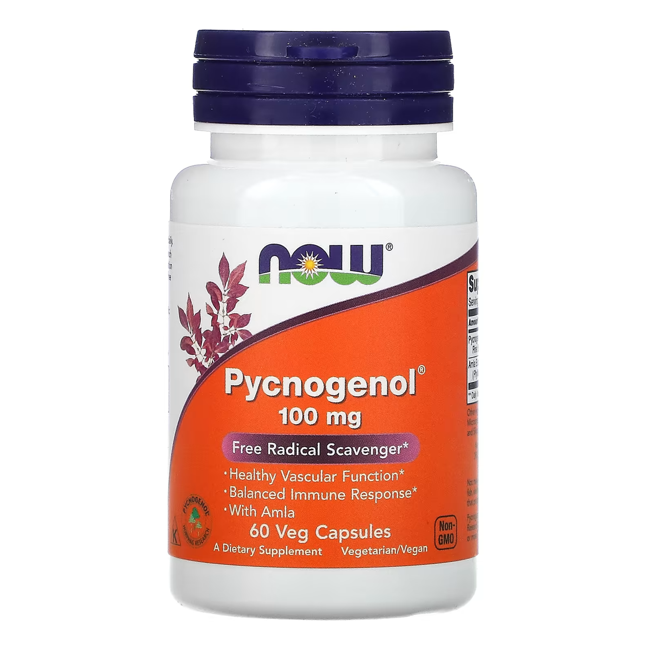 NOW Foods, Pycnogenol 100 mg / 60 Vegetable Capsules