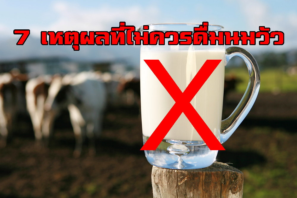 7 เหตุผลที่ไม่ควรดื่มนมวัว